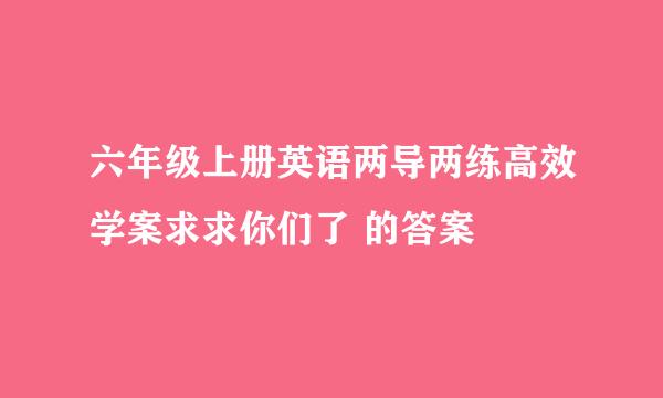 六年级上册英语两导两练高效学案求求你们了 的答案