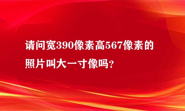 请问宽390像素高567像素的照片叫大一寸像吗？