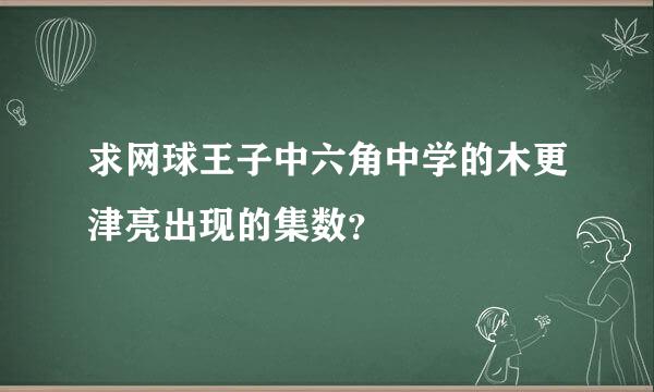 求网球王子中六角中学的木更津亮出现的集数？