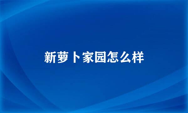 新萝卜家园怎么样