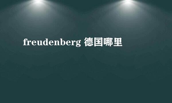 freudenberg 德国哪里