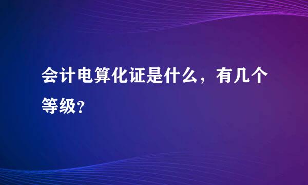 会计电算化证是什么，有几个等级？