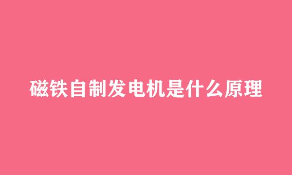 磁铁自制发电机是什么原理