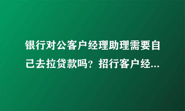 银行对公客户经理助理需要自己去拉贷款吗？招行客户经理助理做什么，有哪方面的考核啊？