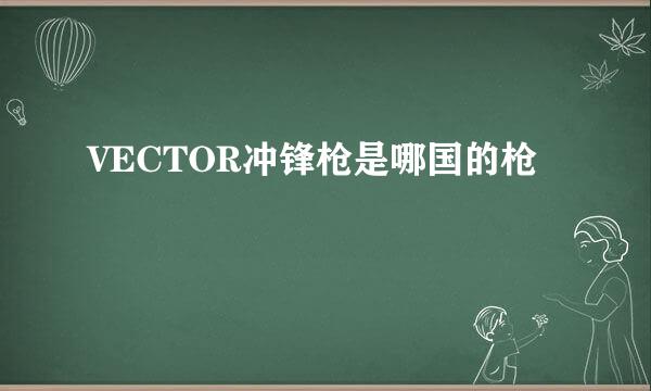 VECTOR冲锋枪是哪国的枪