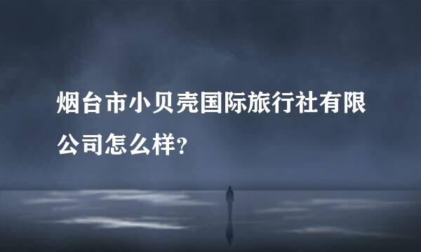 烟台市小贝壳国际旅行社有限公司怎么样？