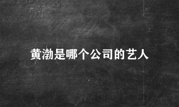 黄渤是哪个公司的艺人