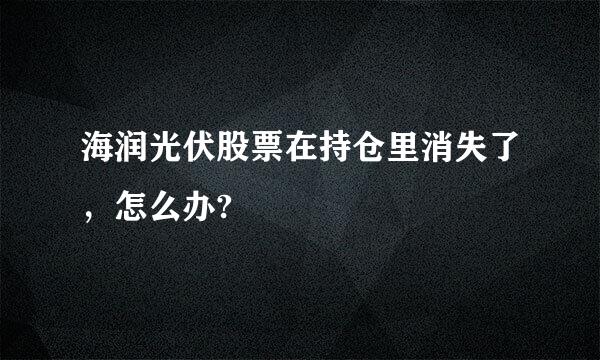 海润光伏股票在持仓里消失了，怎么办?