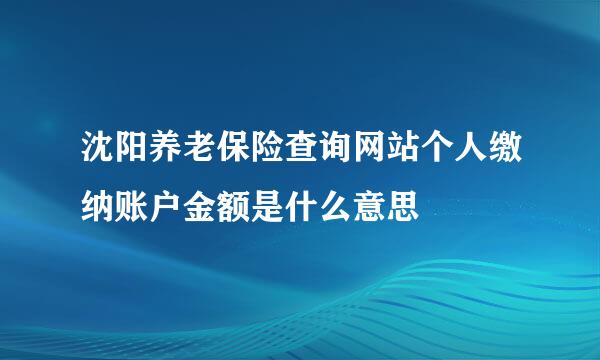 沈阳养老保险查询网站个人缴纳账户金额是什么意思