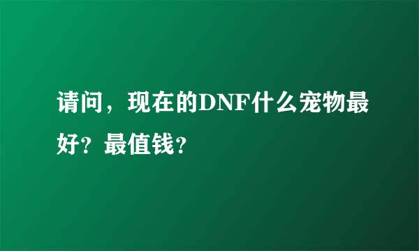 请问，现在的DNF什么宠物最好？最值钱？