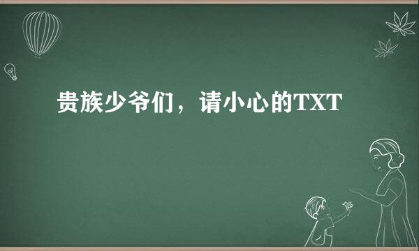 贵族少爷们，请小心的TXT