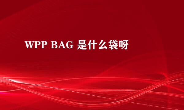 WPP BAG 是什么袋呀