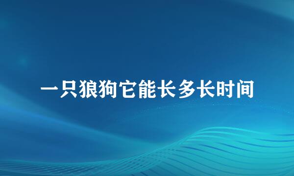 一只狼狗它能长多长时间