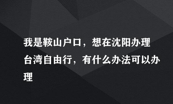 我是鞍山户口，想在沈阳办理台湾自由行，有什么办法可以办理