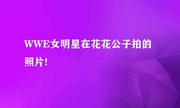 WWE女明星在花花公子拍的照片!