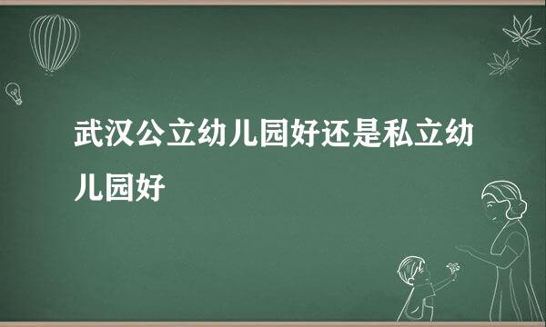 武汉公立幼儿园好还是私立幼儿园好