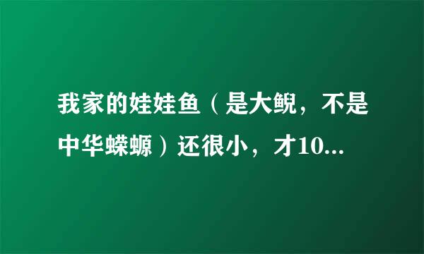 我家的娃娃鱼（是大鲵，不是中华蝾螈）还很小，才10厘米。可是这几天有点蜕皮，是怎么回事啊？