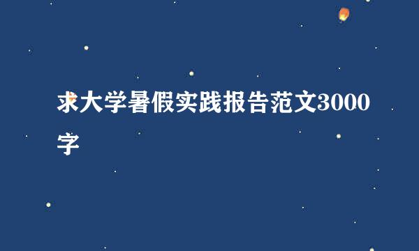 求大学暑假实践报告范文3000字