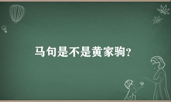 马句是不是黄家驹？