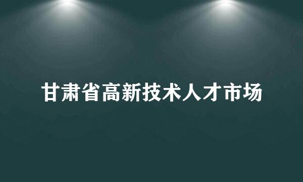 甘肃省高新技术人才市场