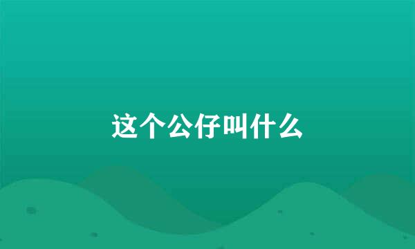 这个公仔叫什么