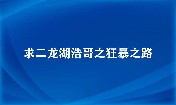 求二龙湖浩哥之狂暴之路