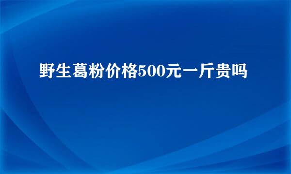 野生葛粉价格500元一斤贵吗