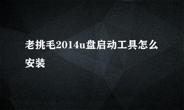 老挑毛2014u盘启动工具怎么安装