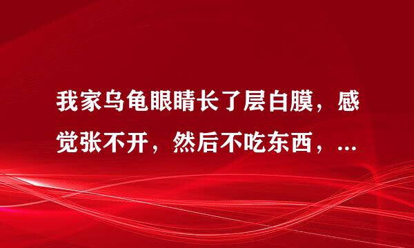 我家乌龟眼睛长了层白膜，感觉张不开，然后不吃东西，现在那层白膜有点变红了。请问为什么？