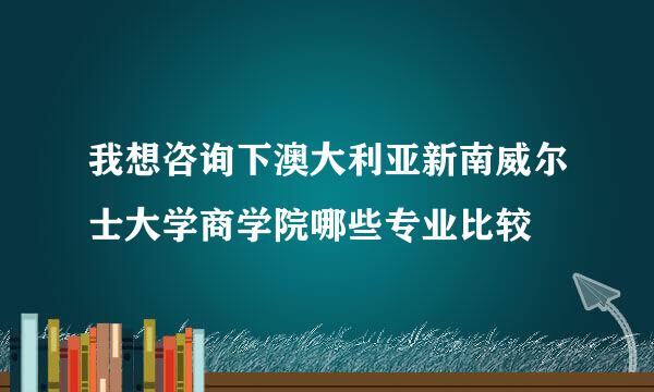 我想咨询下澳大利亚新南威尔士大学商学院哪些专业比较