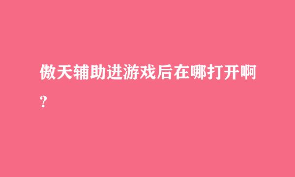 傲天辅助进游戏后在哪打开啊?