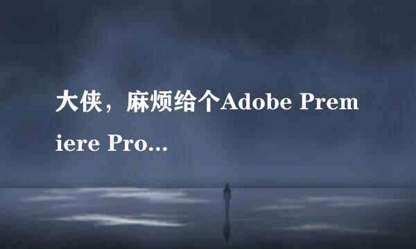 大侠，麻烦给个Adobe Premiere Pro 2.0的下载链接好吗？