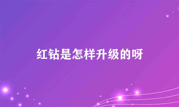 红钻是怎样升级的呀