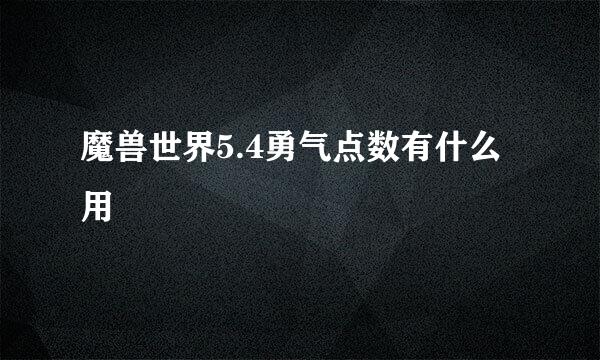 魔兽世界5.4勇气点数有什么用