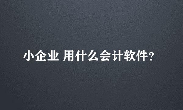 小企业 用什么会计软件？