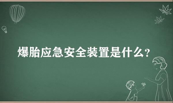 爆胎应急安全装置是什么？