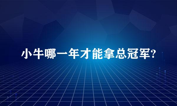 小牛哪一年才能拿总冠军?