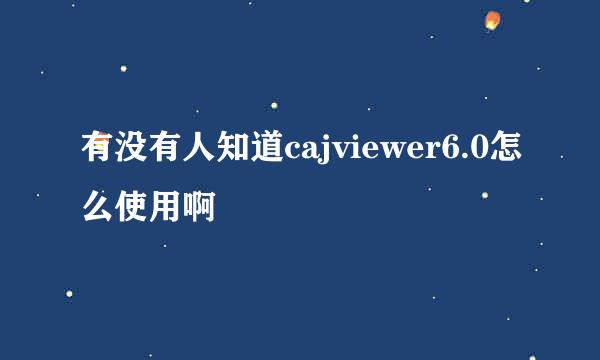 有没有人知道cajviewer6.0怎么使用啊