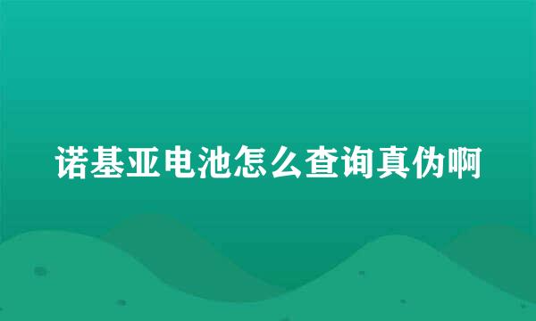 诺基亚电池怎么查询真伪啊