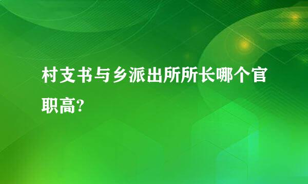 村支书与乡派出所所长哪个官职高?