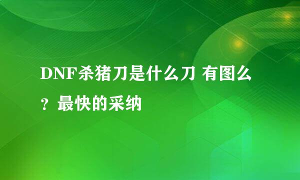 DNF杀猪刀是什么刀 有图么？最快的采纳