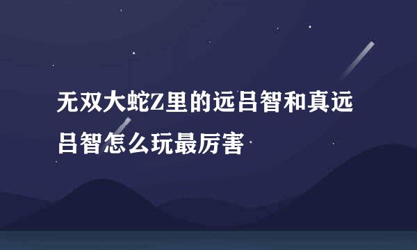 无双大蛇Z里的远吕智和真远吕智怎么玩最厉害