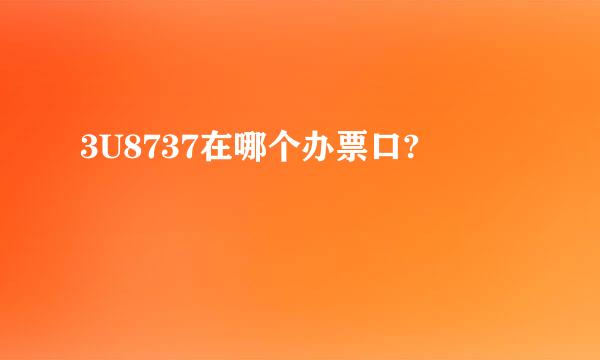 3U8737在哪个办票口?