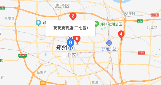 现在郑州哪里有宠物市场？