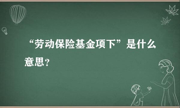 “劳动保险基金项下”是什么意思？