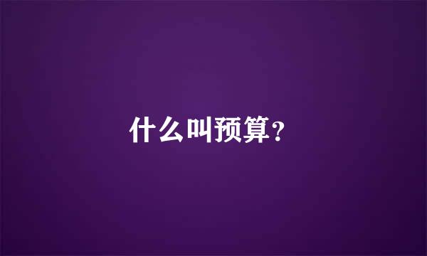 什么叫预算？