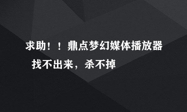 求助！！鼎点梦幻媒体播放器  找不出来，杀不掉