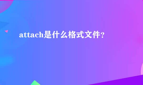 attach是什么格式文件？