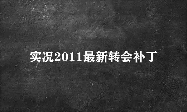 实况2011最新转会补丁