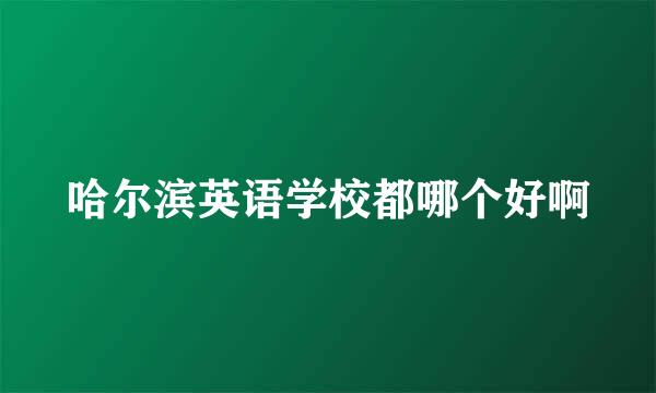 哈尔滨英语学校都哪个好啊